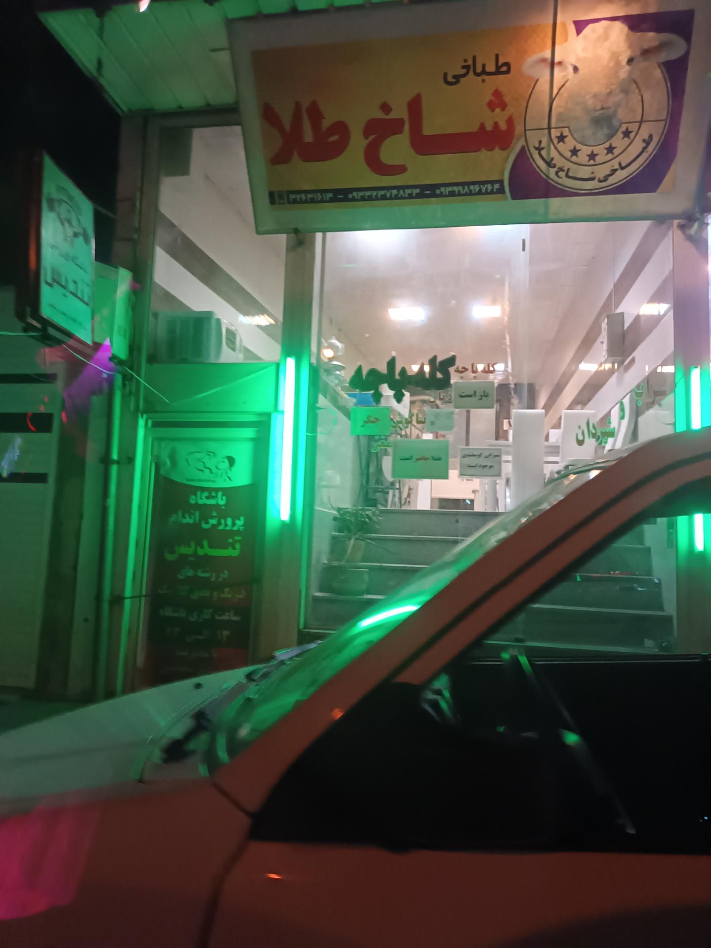 عکس طباخی شاخ طلا