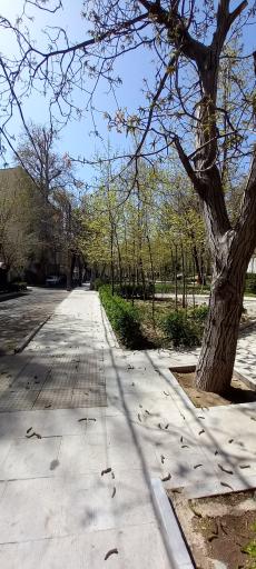 عکس بوستان قلمستان