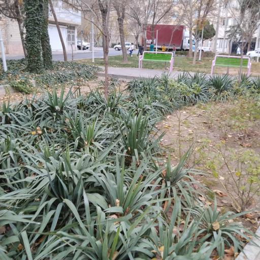 عکس پارک فلاح