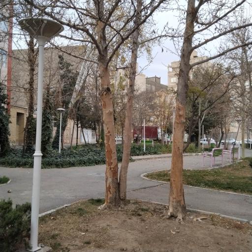 عکس پارک فلاح