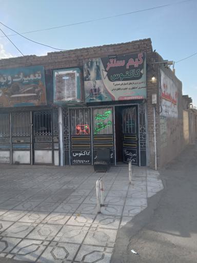 عکس گیم سنتر کاکتوس