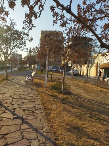 عکس پارک فلاح