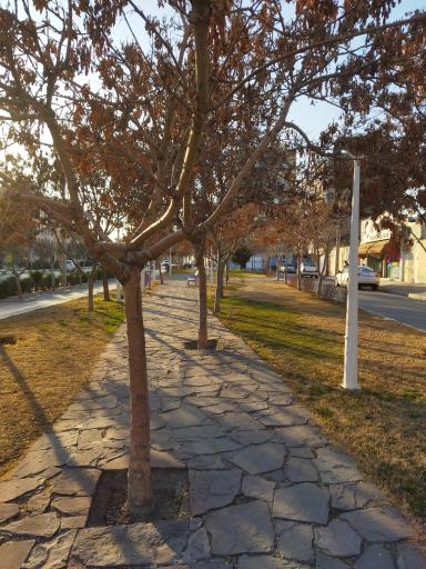 عکس پارک فلاح