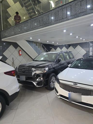 عکس نمایشگاه اتو رضا