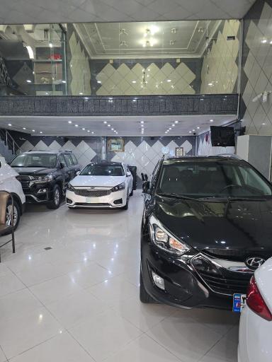 عکس نمایشگاه اتو رضا