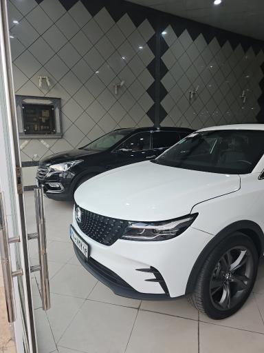 عکس نمایشگاه اتو رضا