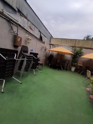 عکس واویشکایی صداقتی