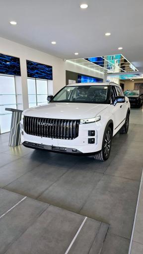 نمایندگی لوکانو و مکث موتور کد 725