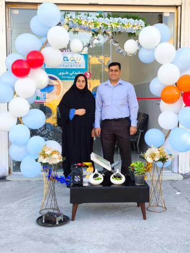 عکس بیمه دی نمایندگی علوی