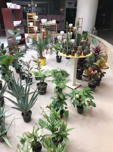 عکس گلکده آزالیا شعبه ۲