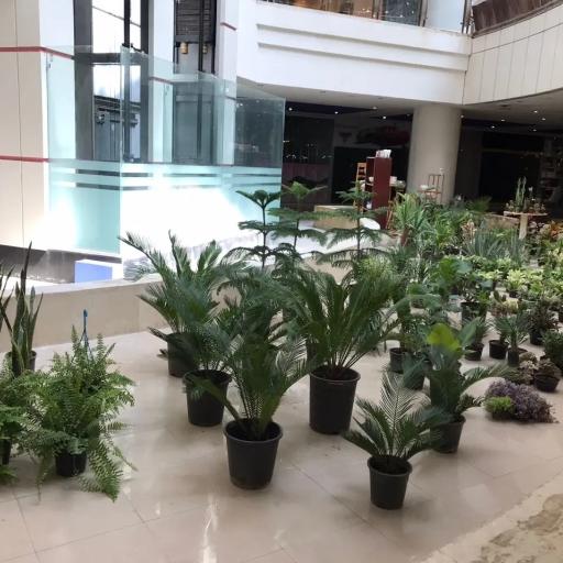 عکس گلکده آزالیا شعبه ۲