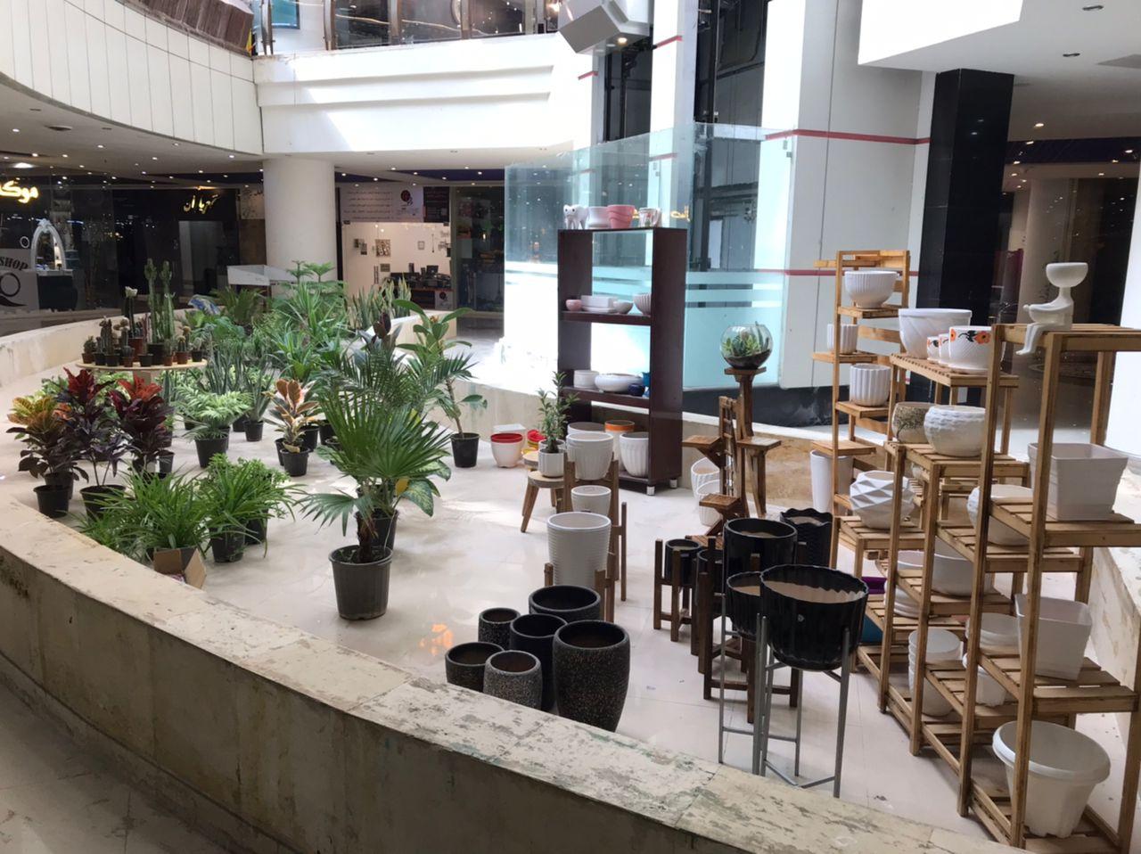 عکس گلکده آزالیا شعبه ۲