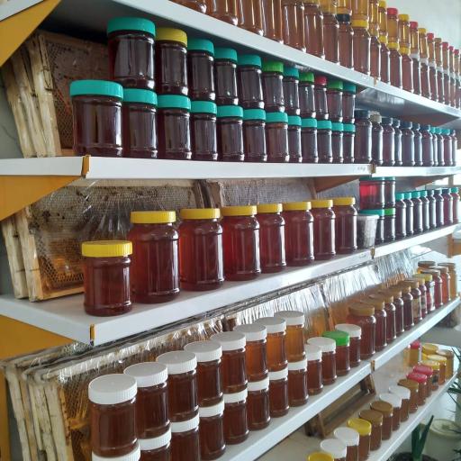 عکس عسل دهقان