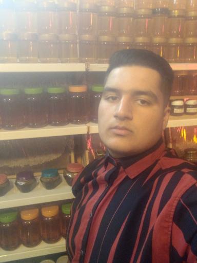 عکس عسل دهقان