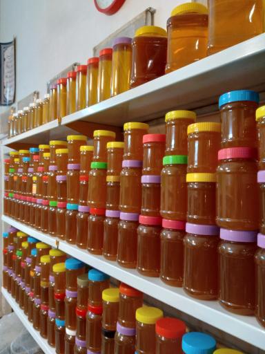 عکس عسل دهقان