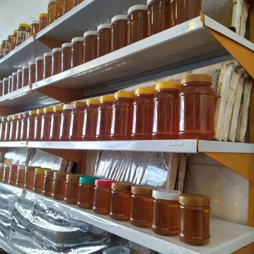 عکس عسل دهقان