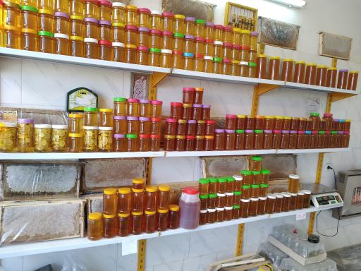 عکس عسل دهقان