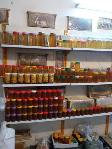 عکس عسل دهقان