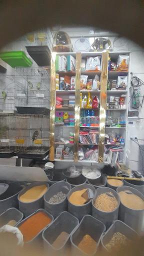 عکس پرنده سرای دنیای پرنده