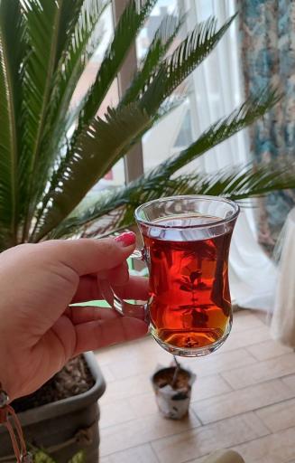 عکس کافه صبحانه گونش 