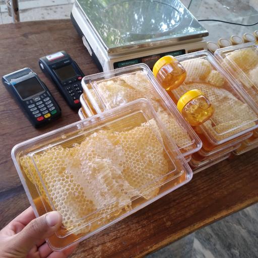 عکس عسل دهقان