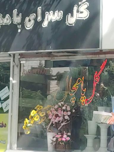 عکس گل سرای پامچال 