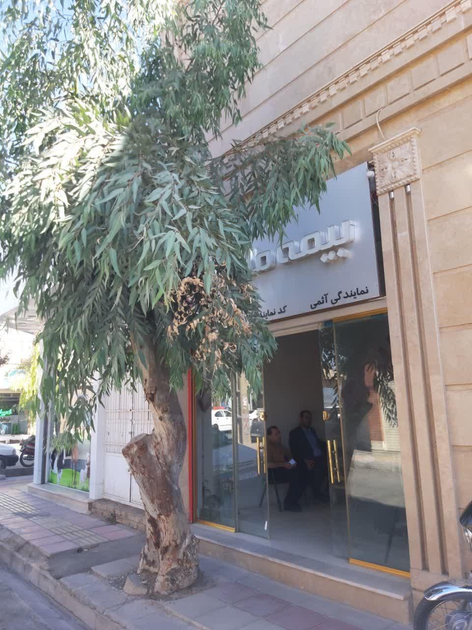 عکس بیمه ملت نمایندگی 7907 شعبه شهرک سازمان آب