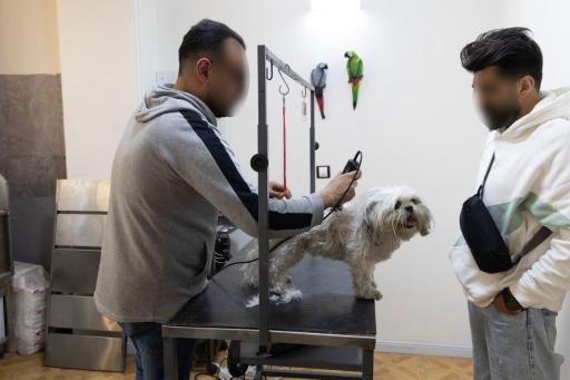 عکس کلینیک دامپزشکی و پت شاپ ایرانا