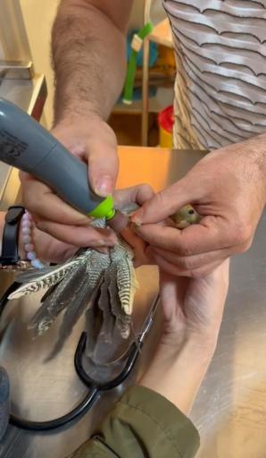 عکس کلینیک دامپزشکی و پت شاپ ایرانا