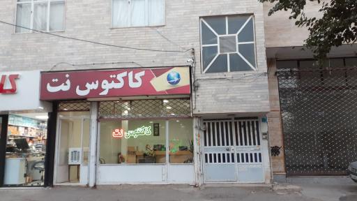 عکس کاکتوس نت