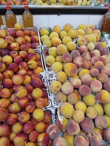 عکس میوه فروشی شهروند