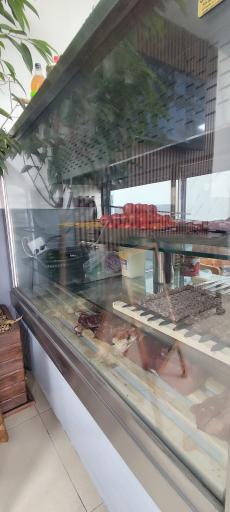 عکس کته کبابی چاشنی 