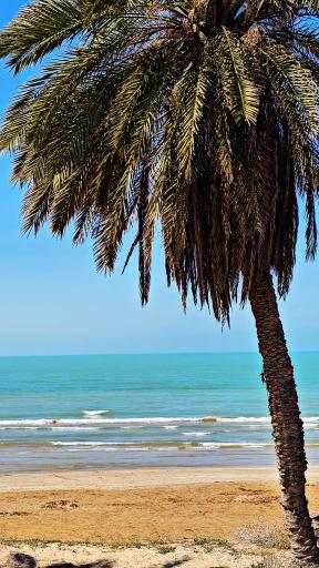 عکس ساحل صخره ای بندر امام حسن