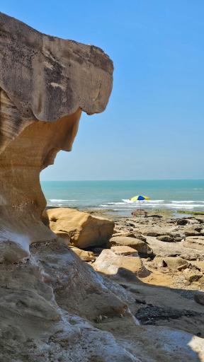 عکس ساحل صخره ای بندر امام حسن