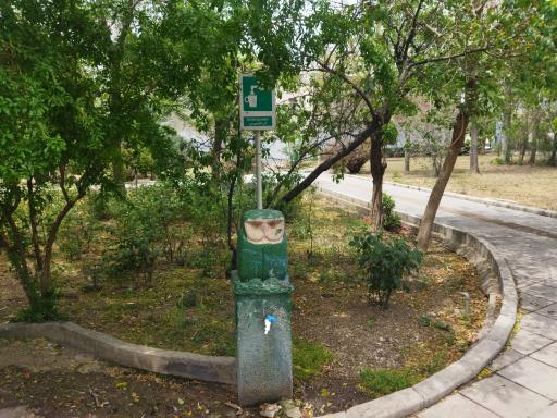 عکس بوستان نیلوفر