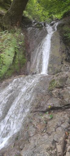 عکس آبشار چسلی
