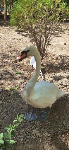 عکس پارکینگ باغ پرندگان