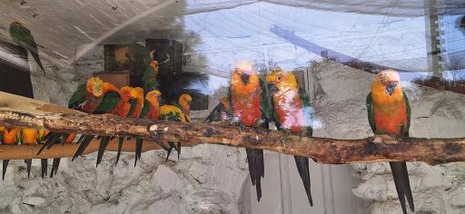 عکس پارکینگ باغ پرندگان