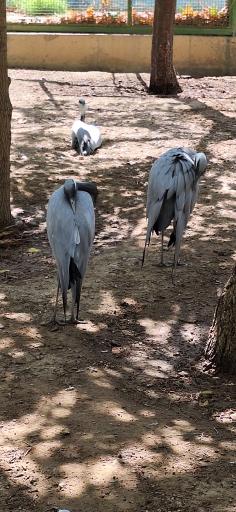 عکس پارکینگ باغ پرندگان