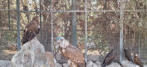 عکس پارکینگ باغ پرندگان