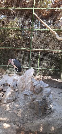 عکس پارکینگ باغ پرندگان