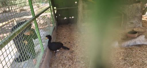 عکس پارکینگ باغ پرندگان