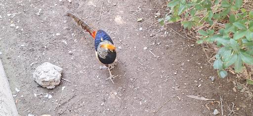 عکس پارکینگ باغ پرندگان