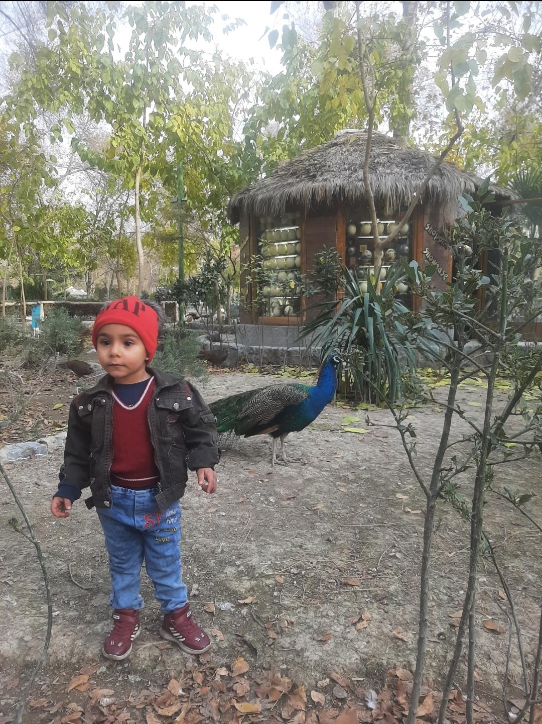عکس پارکینگ باغ پرندگان
