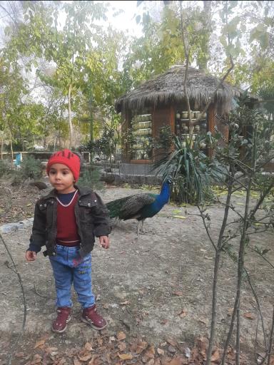 عکس پارکینگ باغ پرندگان