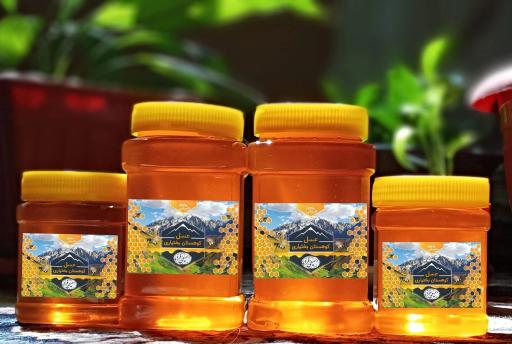 عکس عسل کوهستان بختیاری (سمیعی فرد)