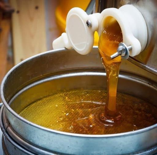 عکس عسل کوهستان بختیاری (سمیعی فرد)