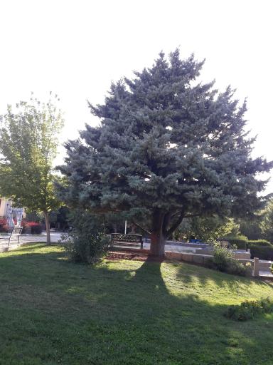 عکس بوستان گلچین