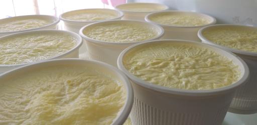 عکس لبنیات محلی غیاثوند