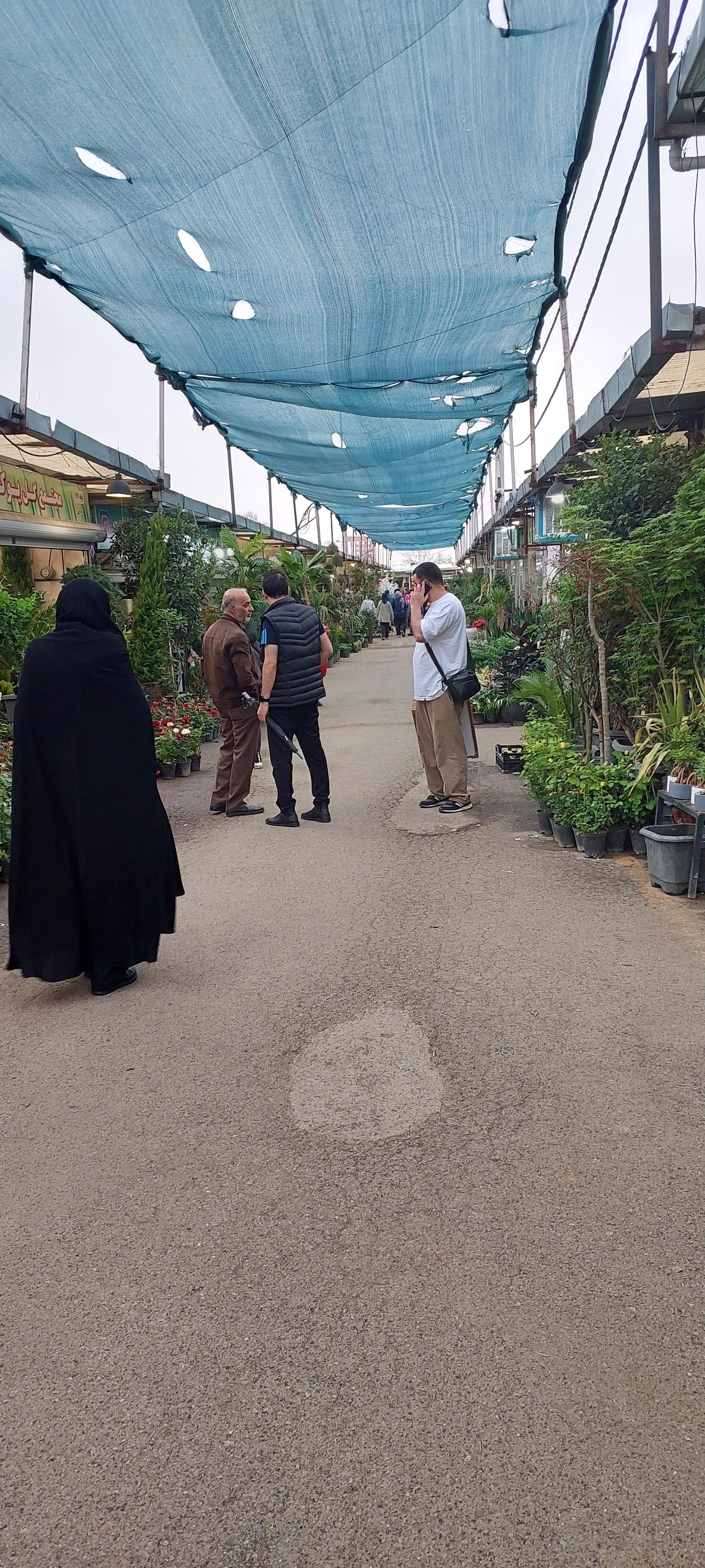 عکس بازار تخصصی گل یاس لند